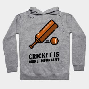 cricket is more important Hoodie